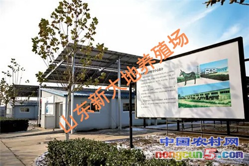 mmexport1494835319481_副本