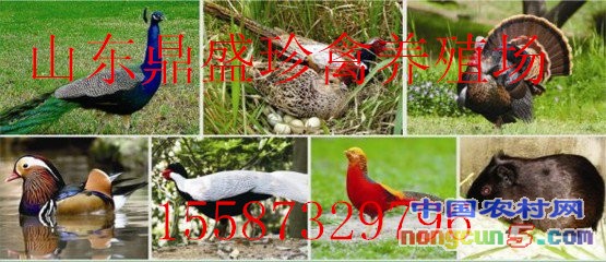 t01830d1128aa74bcbd_副本