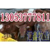 小肉牛多少錢一頭