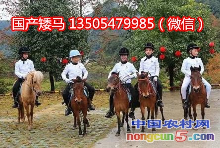 u=633331959,1103344466&fm=23&gp=0_副本