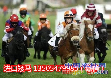 u=3197302478,2866029395&fm=23&gp=0_副本