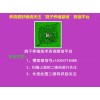 元寶鴿多少錢一對(duì)元寶鴿價(jià)格