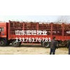 云南肉牛養(yǎng)殖場告訴您養(yǎng)殖黃牛苗的如何賺錢的