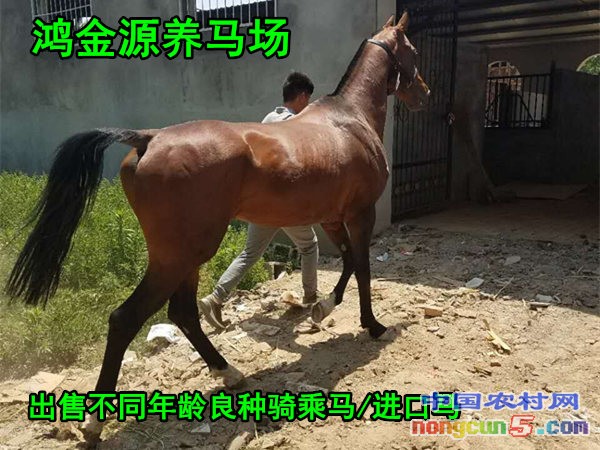 QQ圖片20170526161732_副本嗎