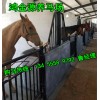 純種設(shè)特蘭矮馬出售可以騎的矮馬多少錢哪里有賣矮馬的