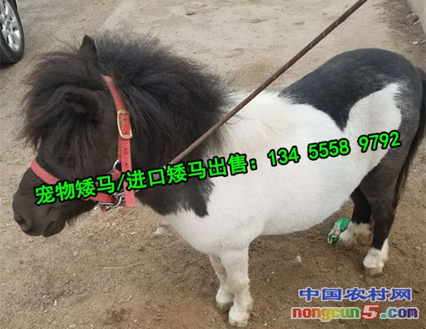 QQ圖片20170403155647_副本