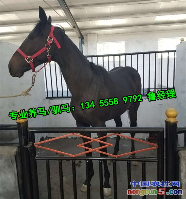 QQ圖片20170526161429_副本‘