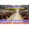 重慶養(yǎng)牛基地電話