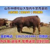 南寧養(yǎng)?；仉娫?/></a>
<div><a href=