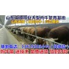 桂林養(yǎng)?；仉娫?/></a>
<div><a href=