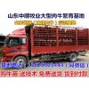 自貢大型養(yǎng)?；?/></a>
<div><a href=