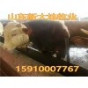 白山羊的價(jià)格