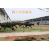 夏洛萊牛報價