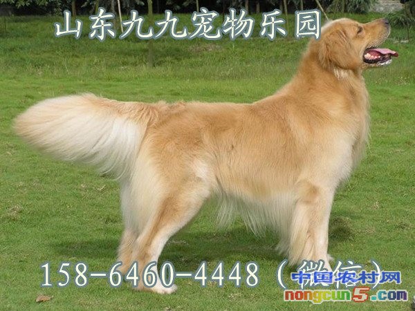 圖片5