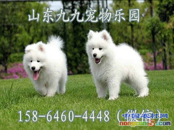 圖片9
