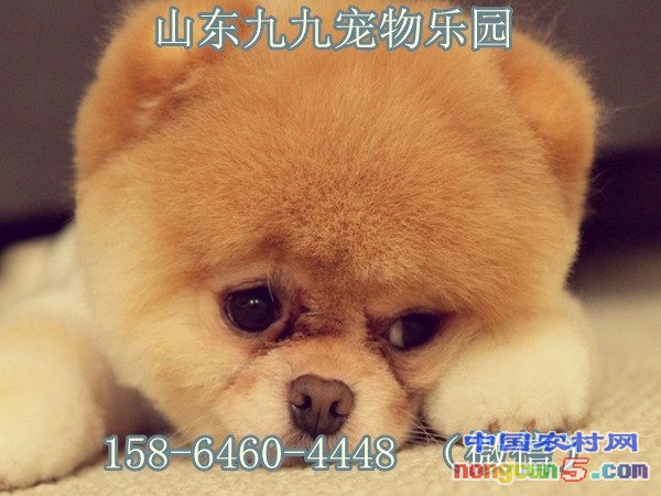 圖片10