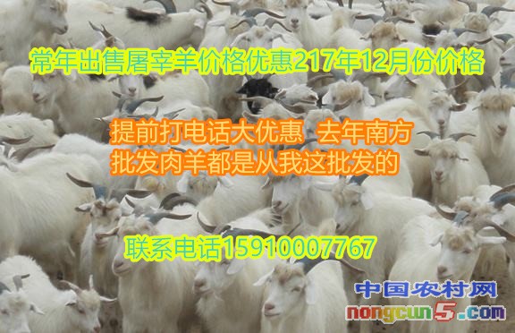 timg (2)_副本
