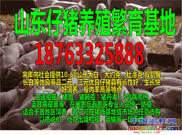 1450100848042065900-0