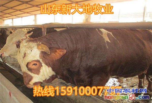 15_副本