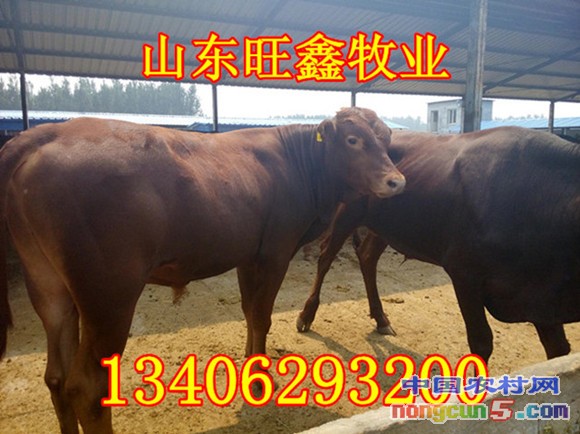 20140930104761086108_副本_副本_副本