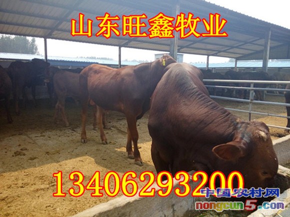 20141029201324602460_副本_副本_副本