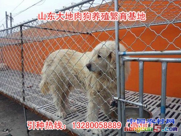 2014414103547726[1]_副本_副本