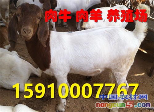 _c_f4PWMDjziND9BKPsl6PndOCuvBj5tZDBPPbTLT2xChHeNM04_2Gya7q_AQF6P2pDo0gvtGJ1THDJ_0pFp6a18_idbdXPt8m-