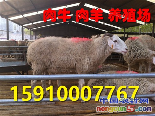 _m_gw_yqnvZxsIrrq9KAC-7TKGEFvhfuphNfm1CW9V-cpFK8_hKx9aoiLMqTDo8tENRoXBdHUmEnigcbzwQyHJWqExvGbHUtXmuXQPWRI0VCnktXOIcaNT5GJ_cYD31idKx7dvBtCKP8QwDZE=
