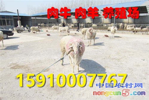 _m_gw_yqnvZxsIrrq9KAC-7TKGEFvhfuphNfm1gZHY7ySvxZNwgq8yLDd0zKYDnytPbqFzJIFyQNCLYUdufQga58tpEGKGc7GASV4f07f5QGVnFcXsROnEduUyCMBqkf1UT-K569zHqn6O-4o=