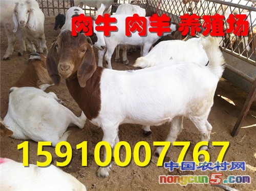 _m_gw_yqnvZxsIrrq9KAC-7TKGEFvhfuphNfm1CW9V-cpFK8_hKx9aoiLMqTDo8tENRoXBdHUmEnigcbzhYbwilVE_i8zFGZ2gixAGzbfiZYU1XIHYdkVCL1BZTiHN3HCj1jKidMm3oqEraQU=