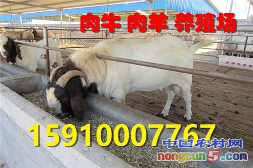 _m_gw_yqnvZxsIrrq9KAC-7TKGEFvhfuphNfm1BdCGJVvNTHAGjIqVs16l3j_hi2P9xrStbt7e-3J-TyWhDs56D39ezuHReqzIWvno9fjLsYn3M-a70Yl_fwY7AFYjuGnMwv0Wr7ixgkal6pU=