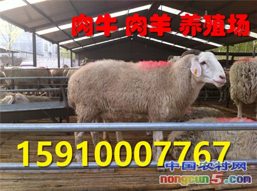 _m_gw_yqnvZxsIrrq9KAC-7TKGEFvhfuphNfm1CW9V-cpFK8_hKx9aoiLMqTDo8tENRoXBdHUmEnigcby5FNLd-WSiEHLknD2_yKVenKAEgpg3UfOpS3ZH8A0sTuKn2PLVDu9pIpouZrhuzVY=