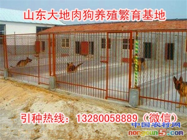 QQ圖片20151112104309_副本_副本_副本