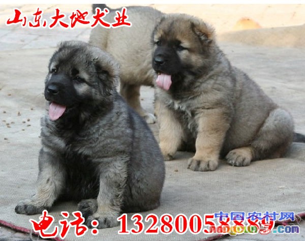 QQ截圖20160628203915_副本_副本