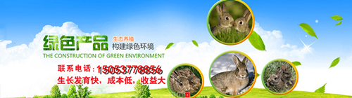 QQ圖片20170419194919_副本3