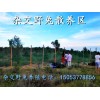 哪里有養(yǎng)殖雜交野兔的
