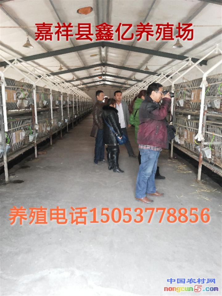 1365553_2014311054913