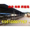 烏蘇今日肉牛價(jià)格怎么樣