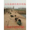 江西省景德鎮(zhèn)市小香豬價(jià)格