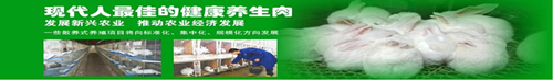 QQ圖片20170419194955_副本44