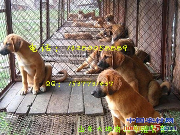 20131271120340[1]_副本_副本_副本