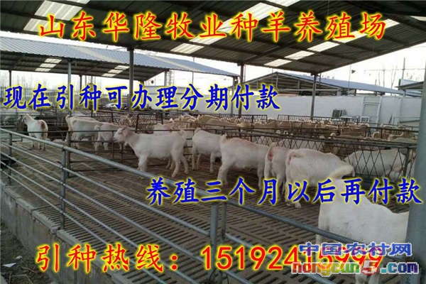 webwxgetmsgimg (5)_conew1 (1)