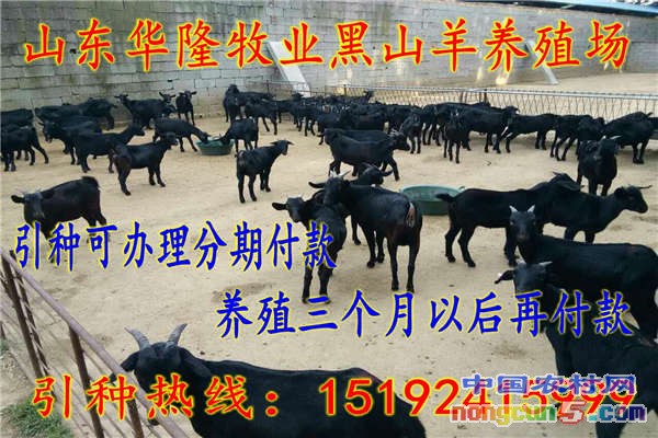 webwxgetmsgimg (2)_conew1 (1)