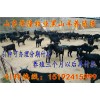 江西黑山羊價(jià)格