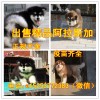 杜賓犬養(yǎng)殖場、2017年杜賓犬價格