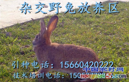 8694a4c27d1ed21b76c6427caf6eddc451da3f1f_副本