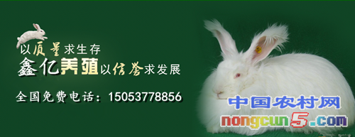 QQ圖片20170508211942_副本