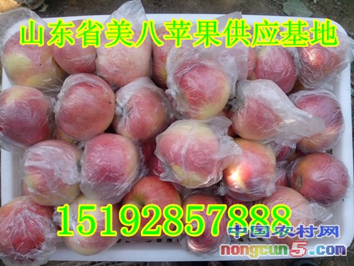 美八2字