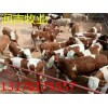 現(xiàn)在肉驢犢大概多少錢一斤