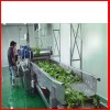 德州清洗機(jī) 水果清洗機(jī) 蔬菜清洗機(jī) 大型清洗機(jī) 供貨及時(shí)